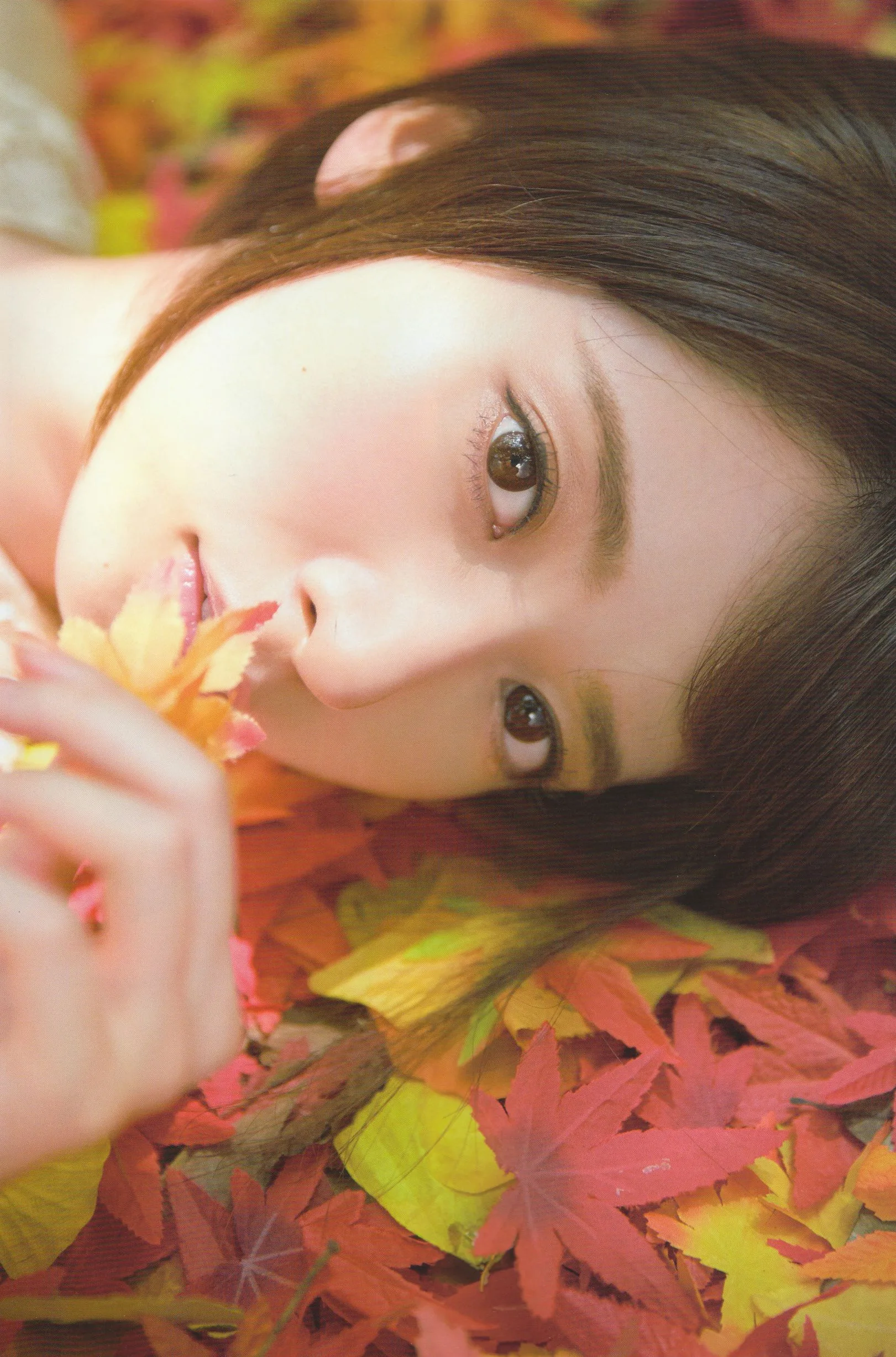 Album ảnh "Liangqiu" hàng quý của Nogizaka46 - 11