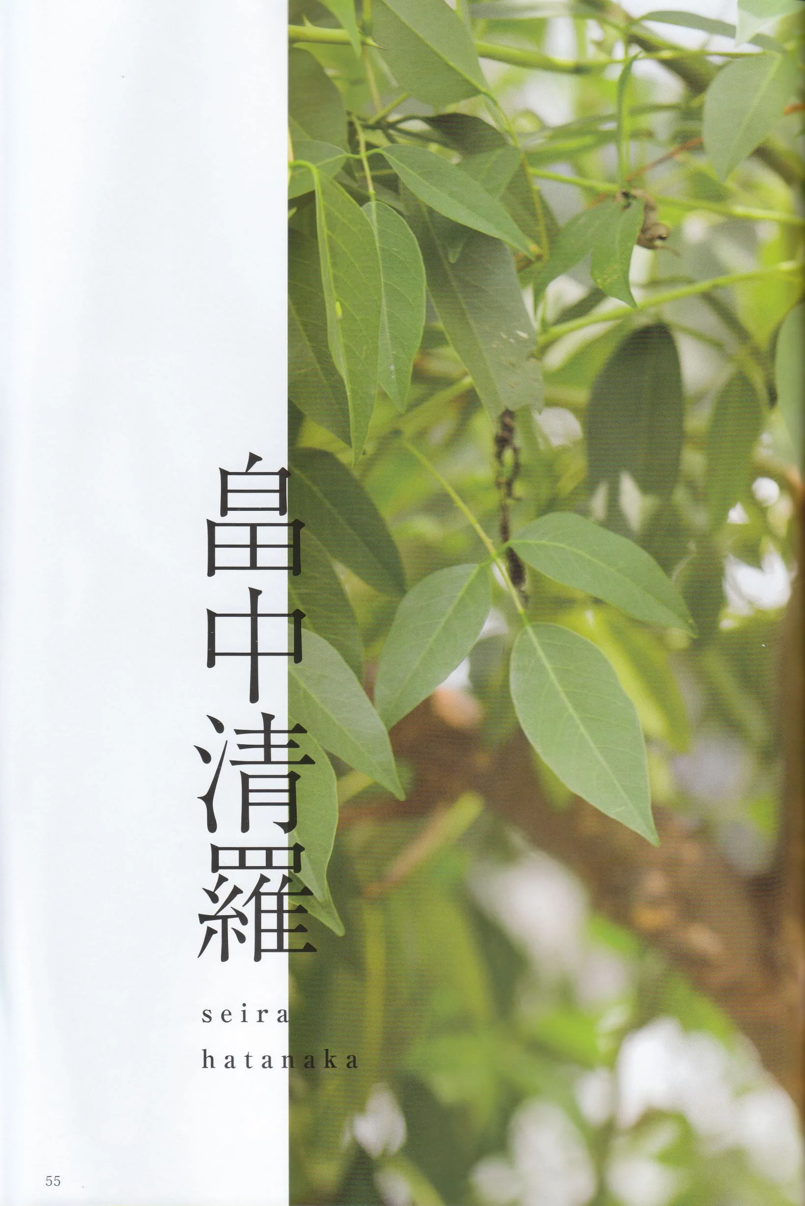 Album ảnh "Liangqiu" hàng quý của Nogizaka46 - 54